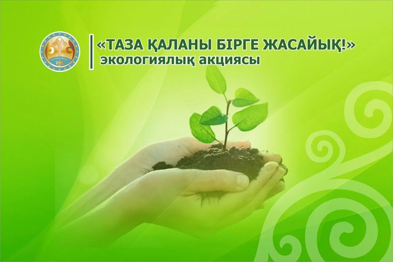 Акция бірқатар бағыттарды қамтиды