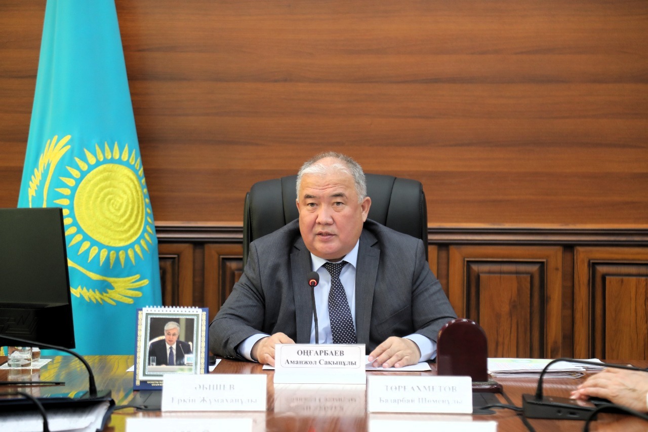 Рассмотрены вопросы развития трансграничных хабов и охраны окружающей среды