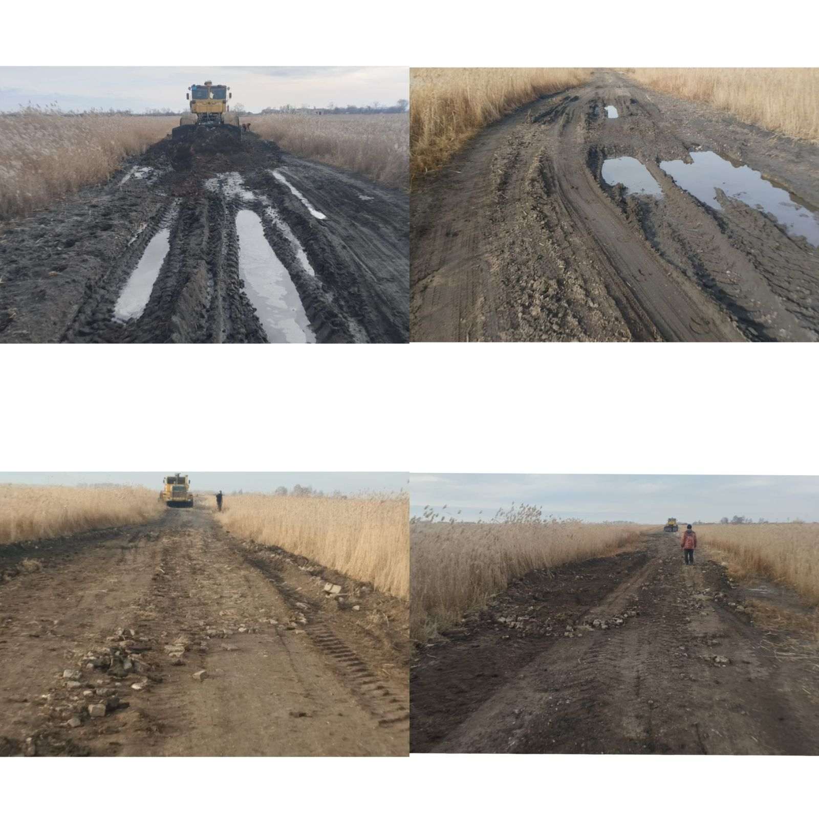 Чапаевка ауылында жолды профильдеу және топырақ себу жұмыстары жүргізілді