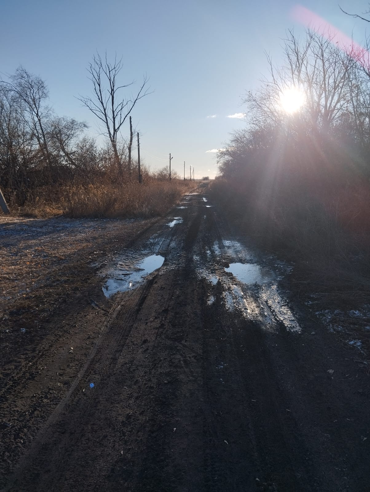 Подсыпка улицы Школьная