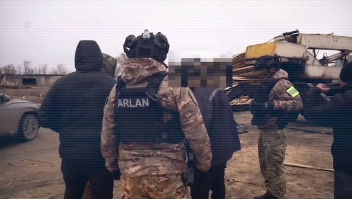 МВД: пресечена схема незаконной вырубки леса в Костанайской области