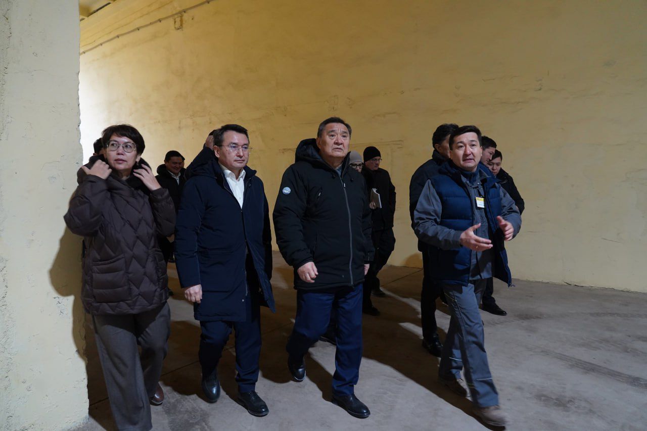 Степногорск қаласында картоп өндіру көлемі ұлғайып келеді