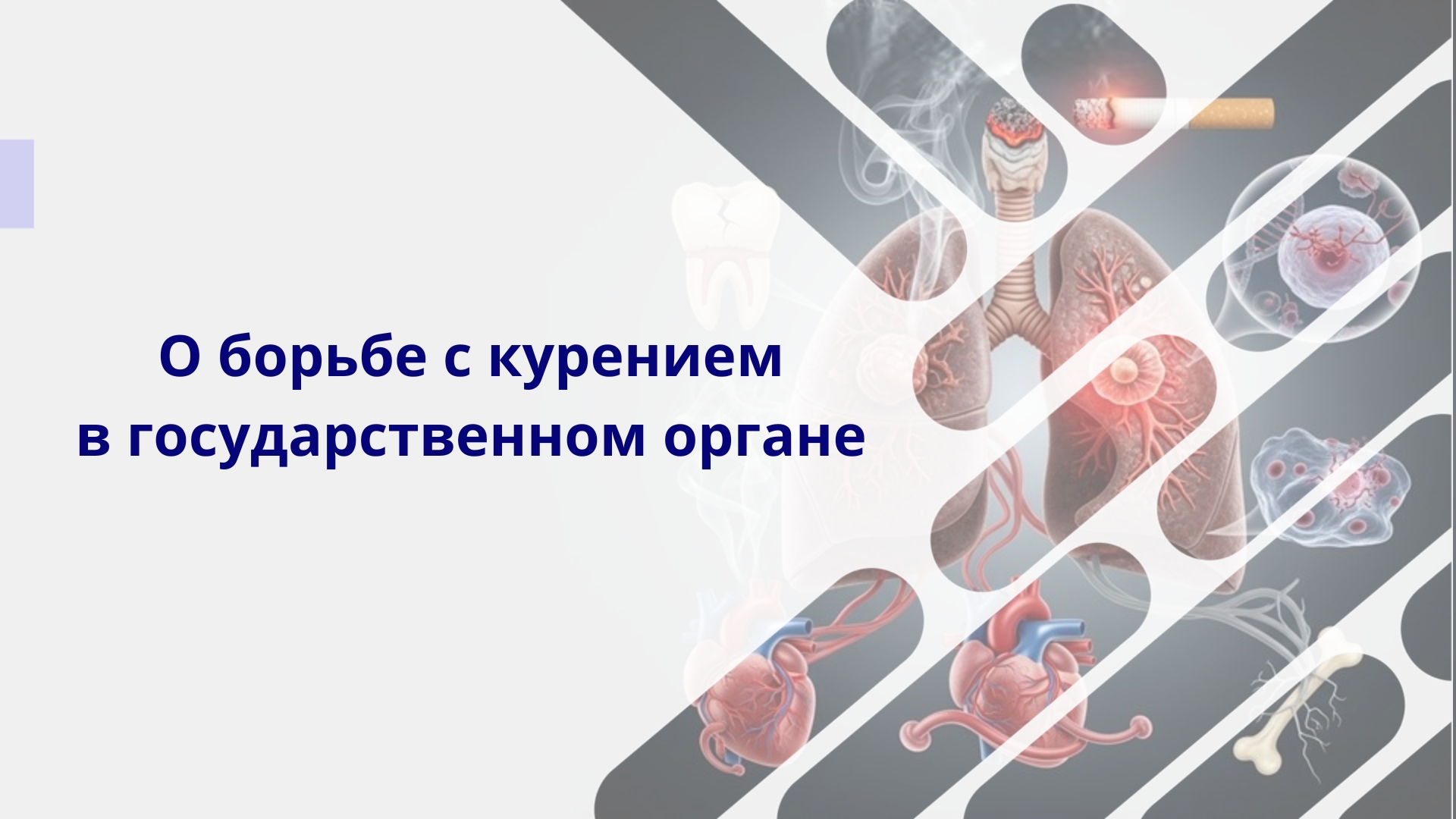 Сотрудники Агентства и Комитета атомного надзора и контроля  приняли участие в информационно-разъяснительном семинаре  «О борьбе с курением в государственном органе»