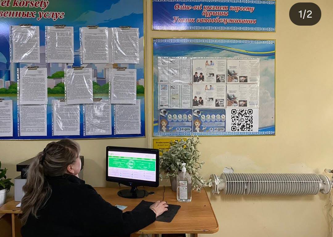 Электронные государственные услуги