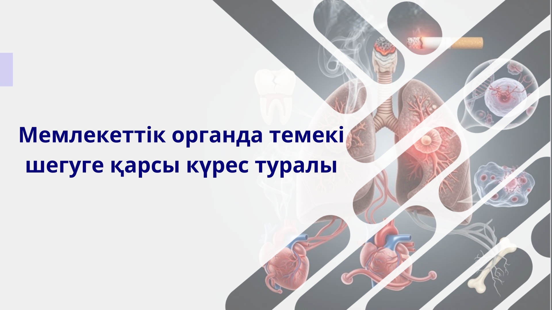 Агенттік пен Атомдық қадағалау және бақылау комитетінің қызметкерлері «Мемлекеттік органда темекі шегуге қарсы күрес туралы»  ақпараттық-түсіндіру  семинарға қатысты
