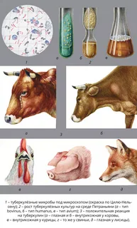 Часто задаваемые вопросы по заявлениям