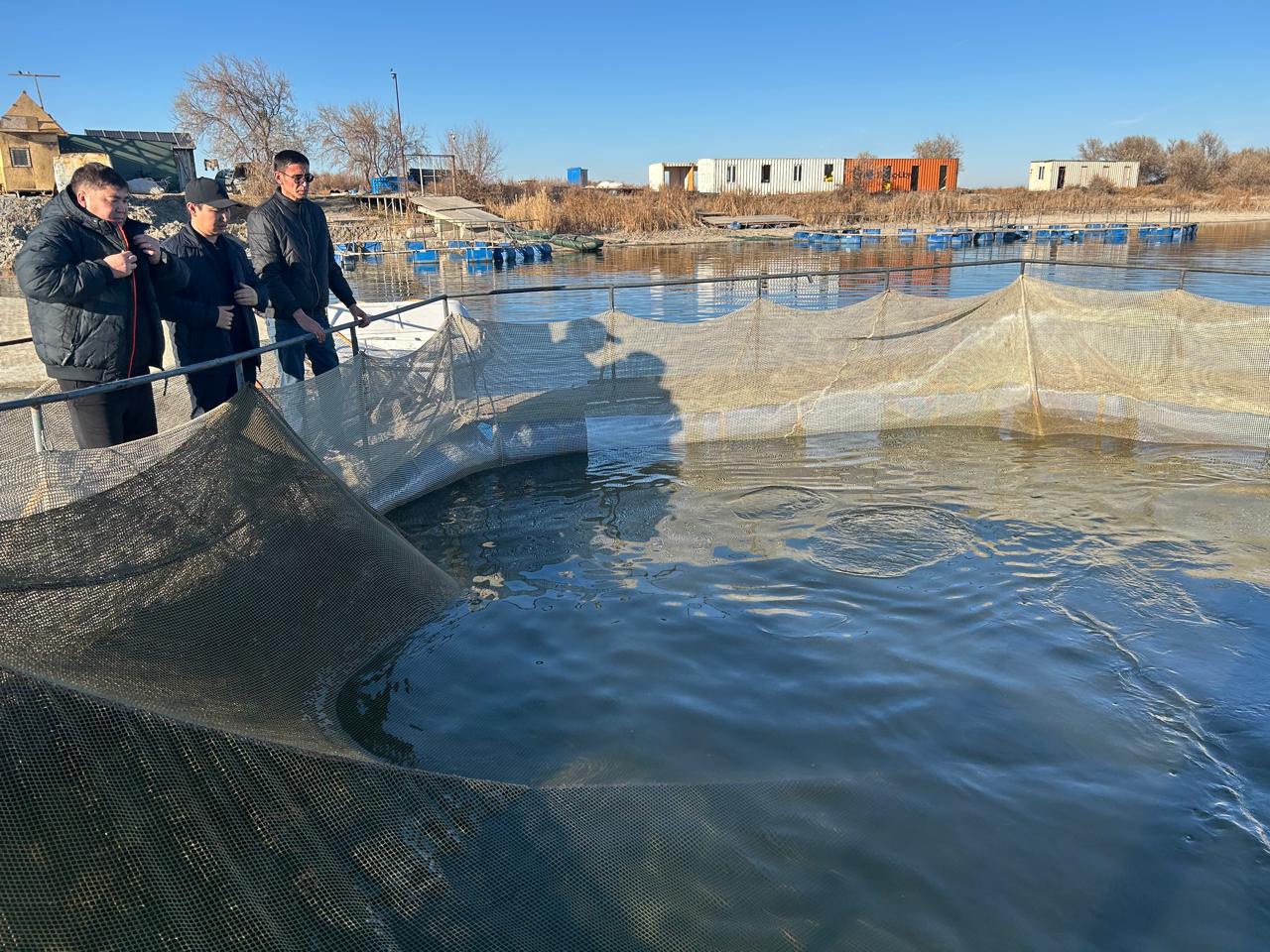 Жаңақорған ауданында  шарбақтық балық өсіру шаруашылығы  жұмыс жасауда