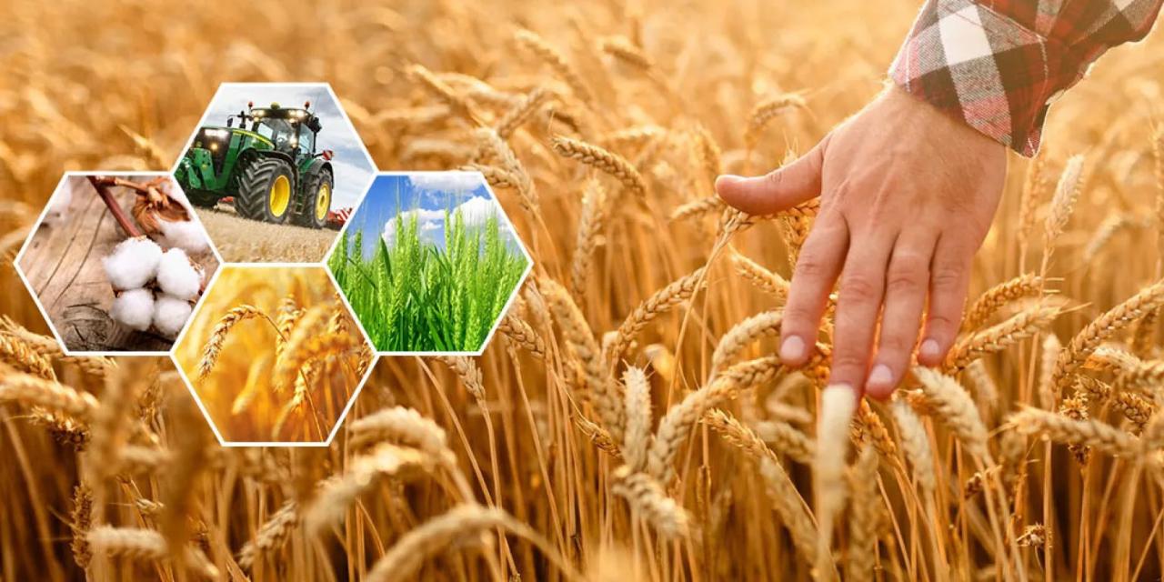 Өңірдің агросекторында оң динамика сақталуда