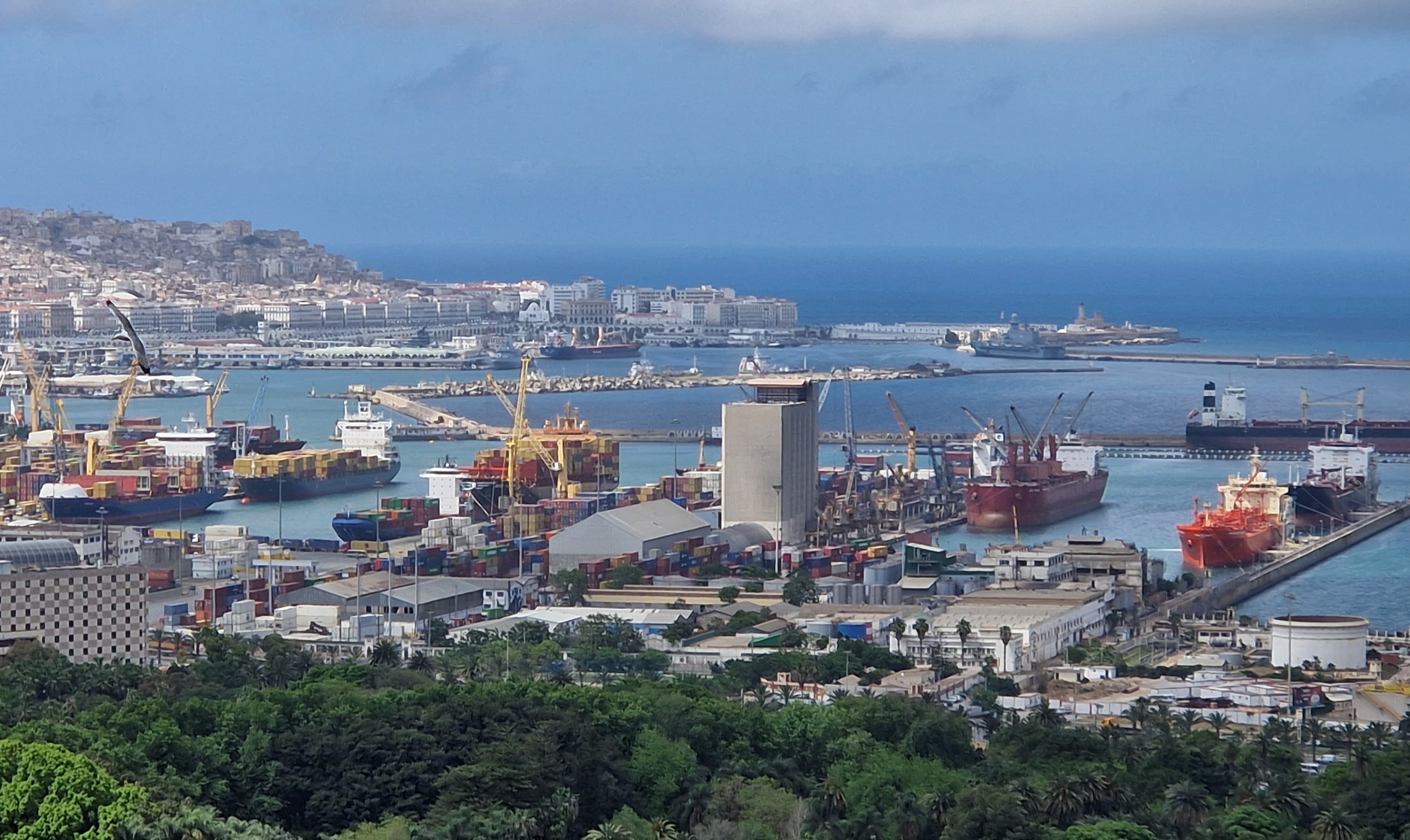 Қазақстан Алжирге 390 мың тонна бидай экспорттады