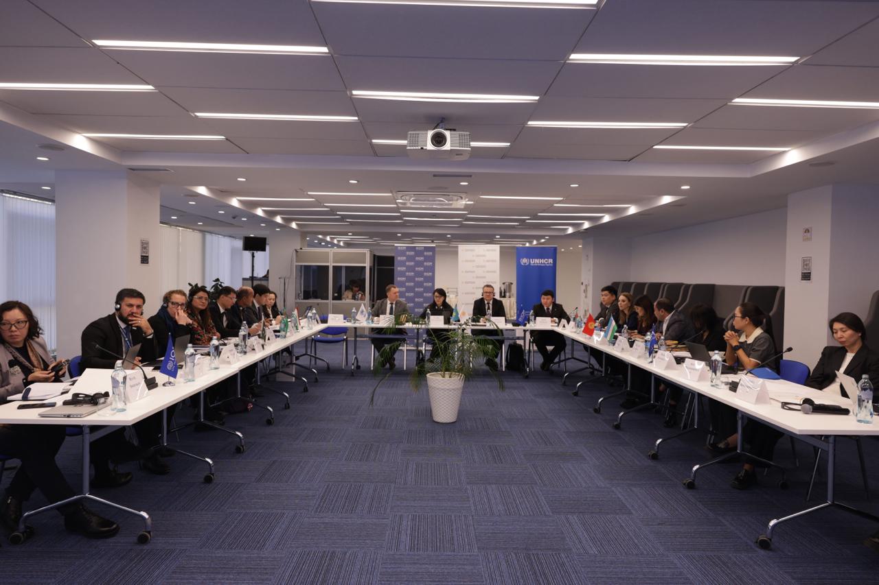 В Алматы состоялось заседание Технической экспертной группы Алматинского процесса по вопросам управления миграционными данными