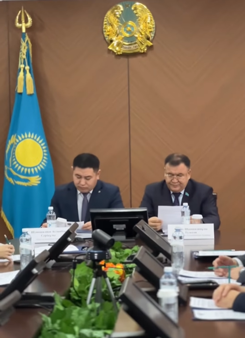 Қабырғалардағы порно