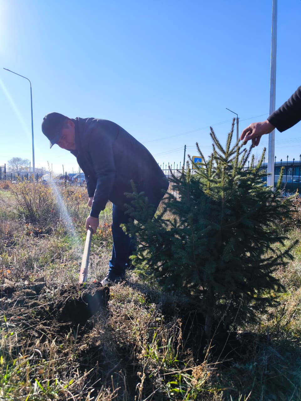 Самар ауылдық округінің әкімі М. Дюсупов Даңқ саябағында 🌱 көшет отырғызу жұмысына қатысты.