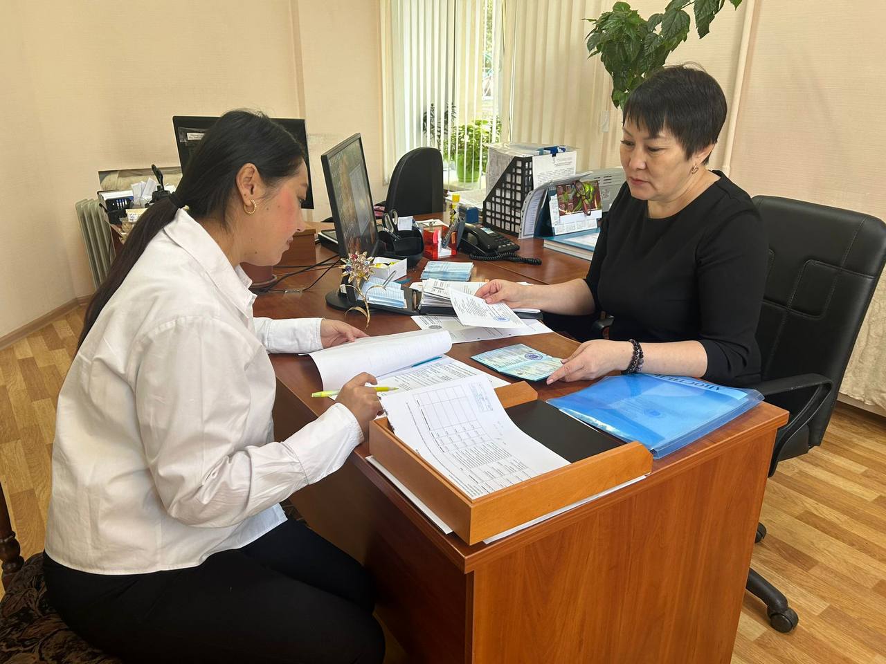 Проведена стажировка