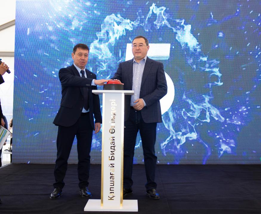 В Конаеве открыли завод по переработке пшеницы на 15 млрд тенге