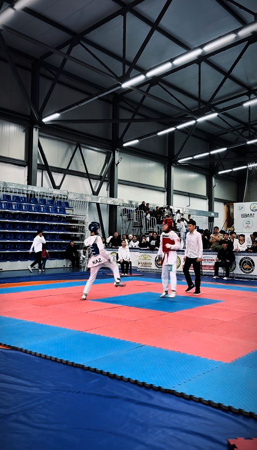 В городе Семей состоялся открытый турнир по тхэквондо (WT) среди детей и кадетов.