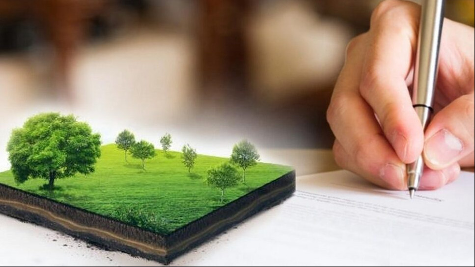 КГУ «Аппарат акима района Магжана Жумабаева Северо-Казахстанской области» проводит конкурс по предоставлению права временного возмездного землепользования (аренды) на земельные участки сельскохозяйственного назначения, находящихся в государственной собственности и не предоставленные в землепользование сроком на 10 лет.