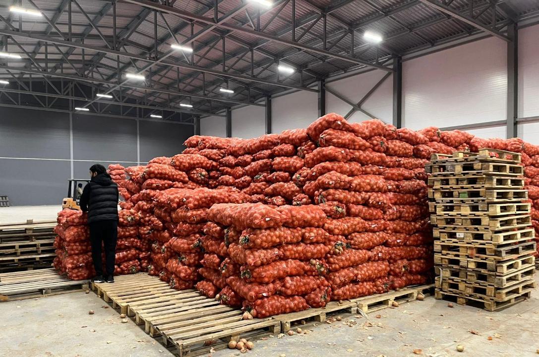 В Актюбинской области на продовольственный стабилизационный фонд выделено 4,5 млрд тенге