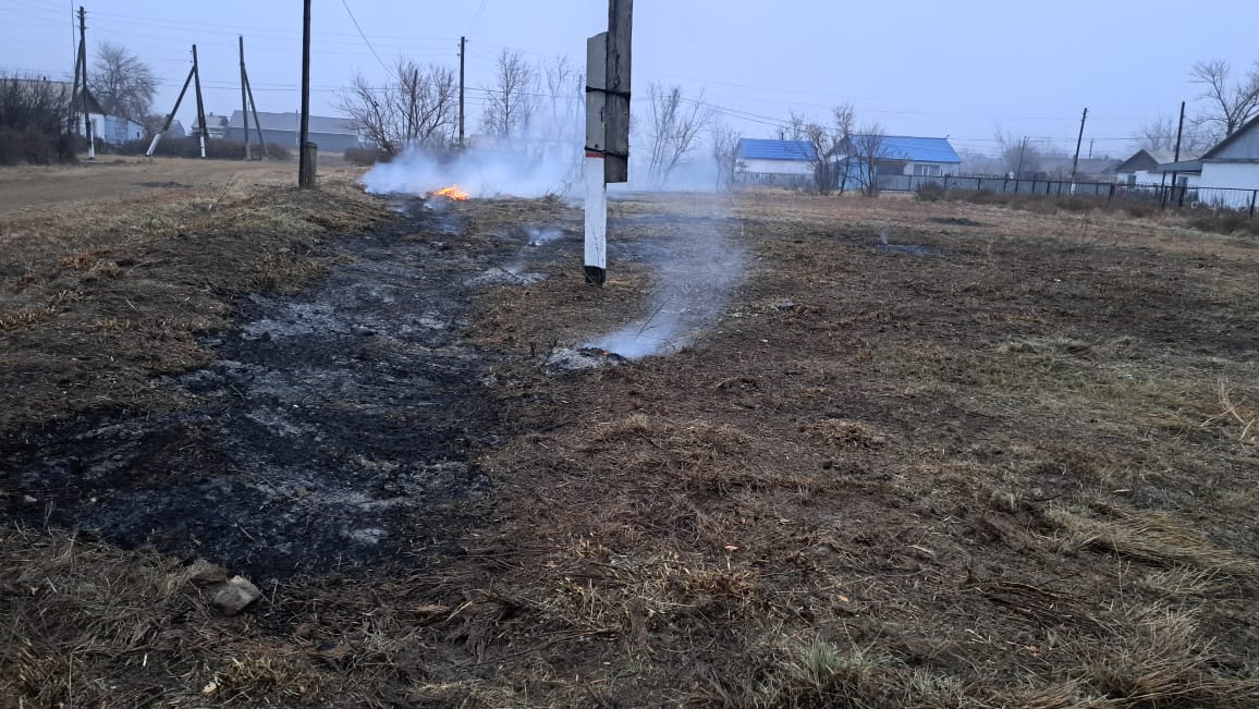 Проведение работ по очистке территории от сухостоя и вырубке полыни с целью благоустройства и предотвращения возгораний.
