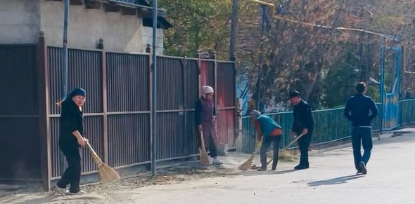 ШАРДАРА: КҮЗГІ СЕНБІЛІК ҚАРҚЫН АЛДЫ