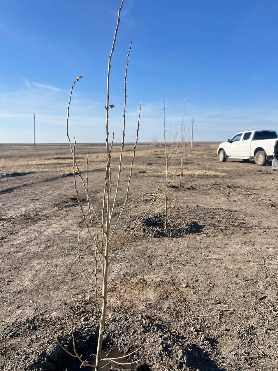 Чистый Казахстан – чистое будущее!