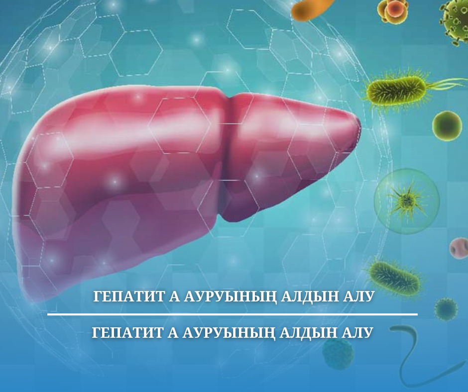 Профилактика гепатита А