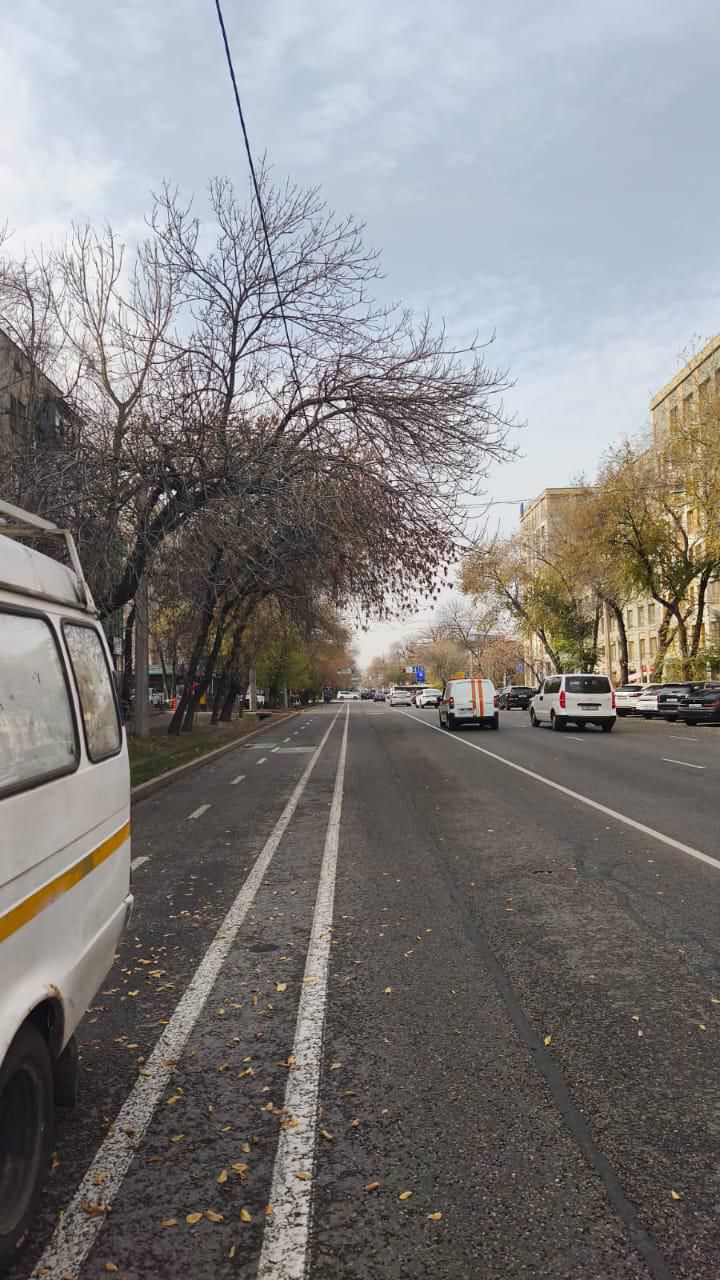 Алматыда қыста жол тазалау жұмыстарын тиімді жүргізу үшін веложолақтар бойындағы боллардтар алынып жатыр