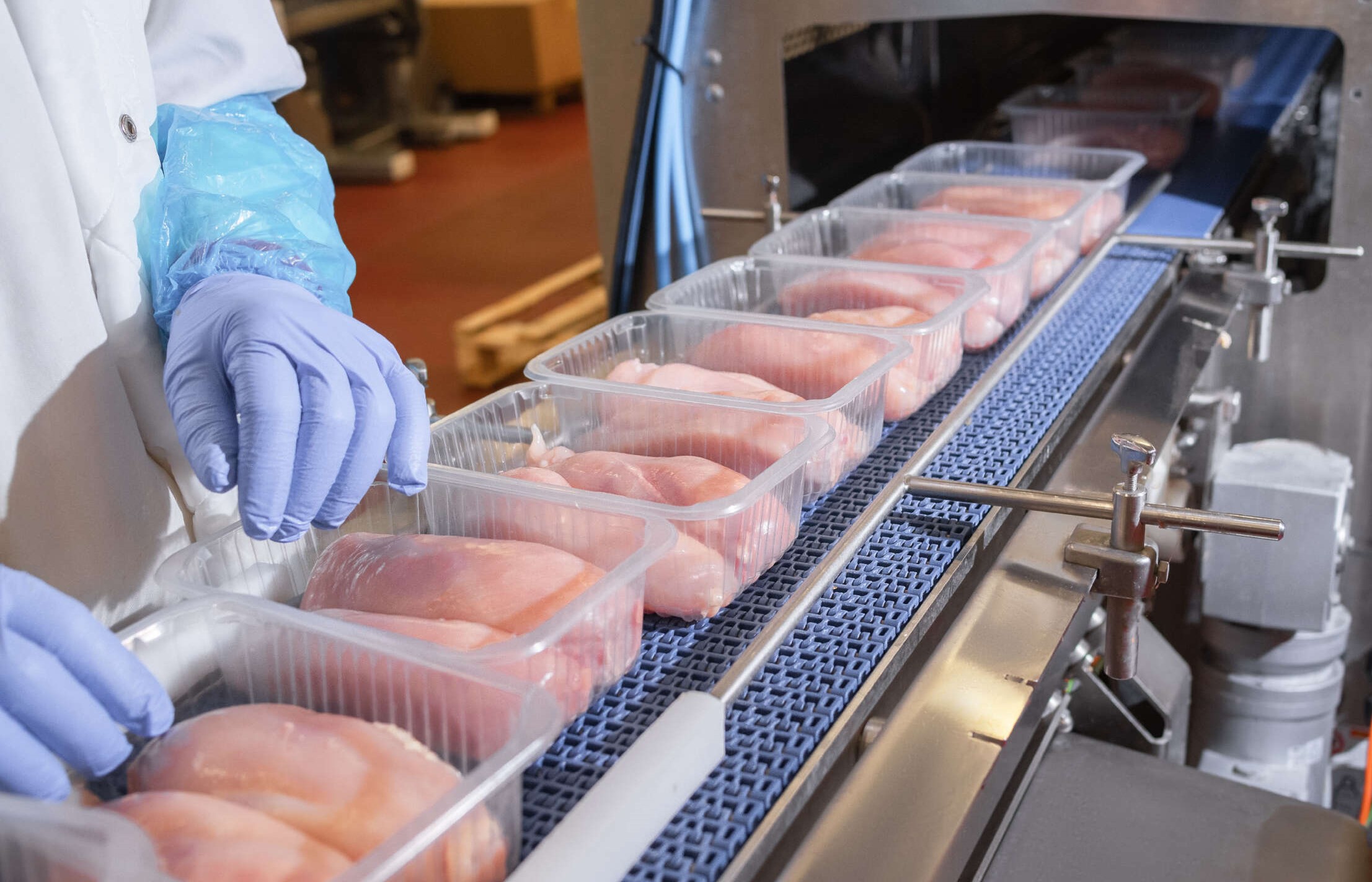 В области Жетісу откроется новое предприятие по переработке мяса птицы