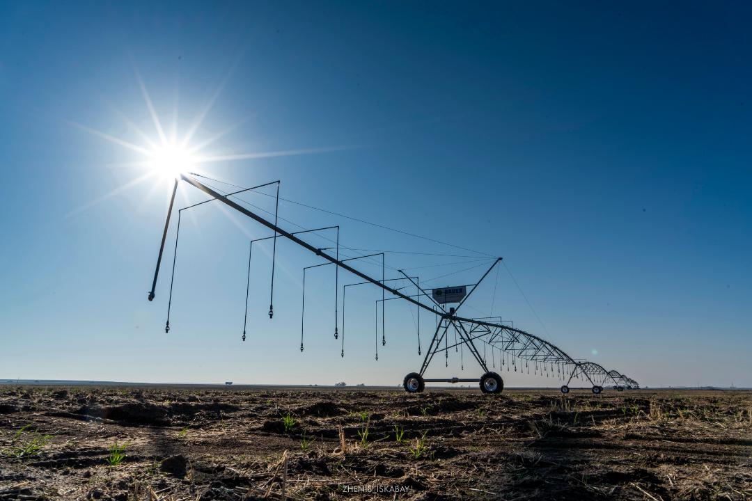 Орел порносындағы колледж қыздары