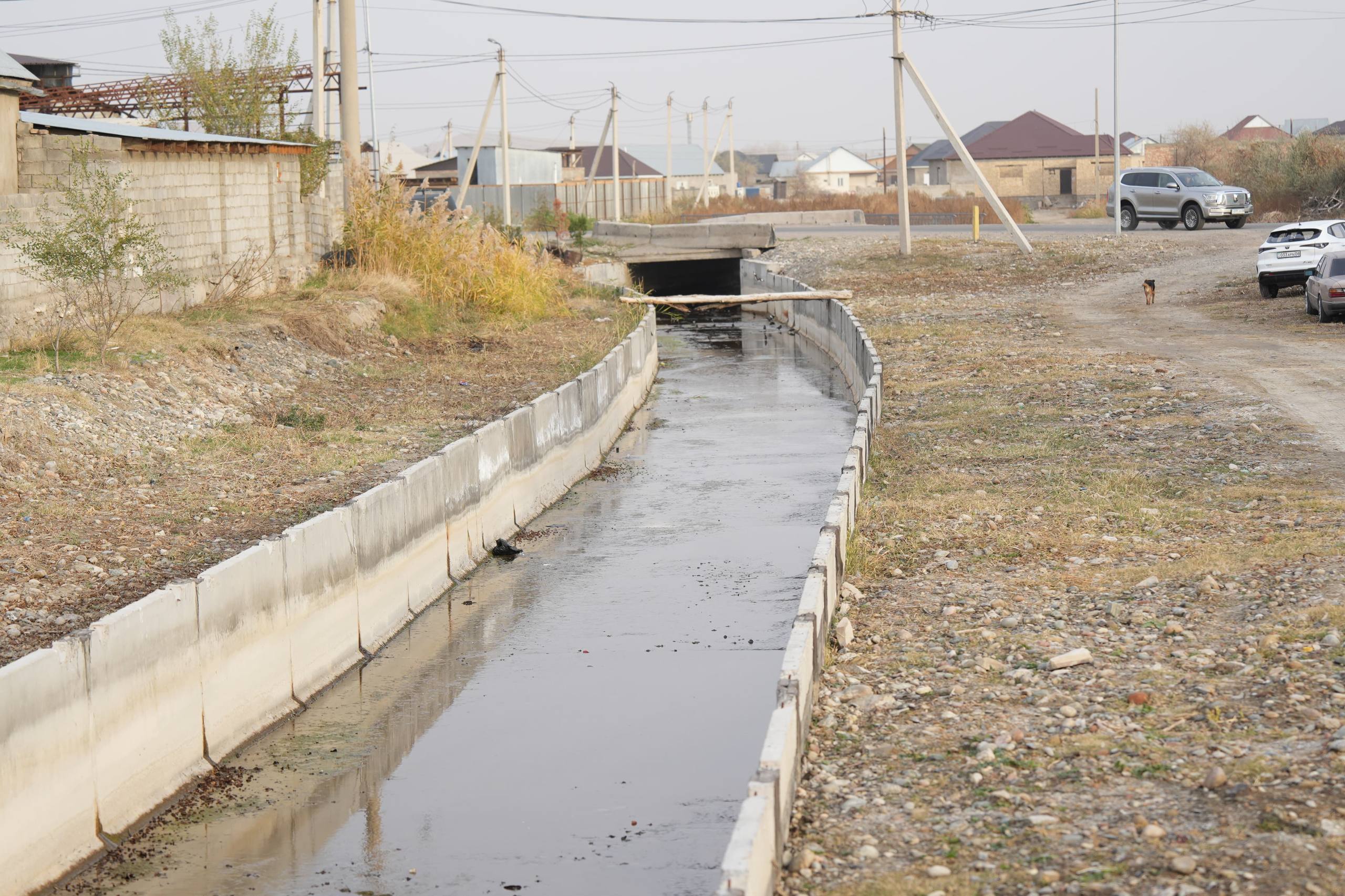 Три проекта по капитальной реконструкции ирригационных систем реализуются в Жамбылской области