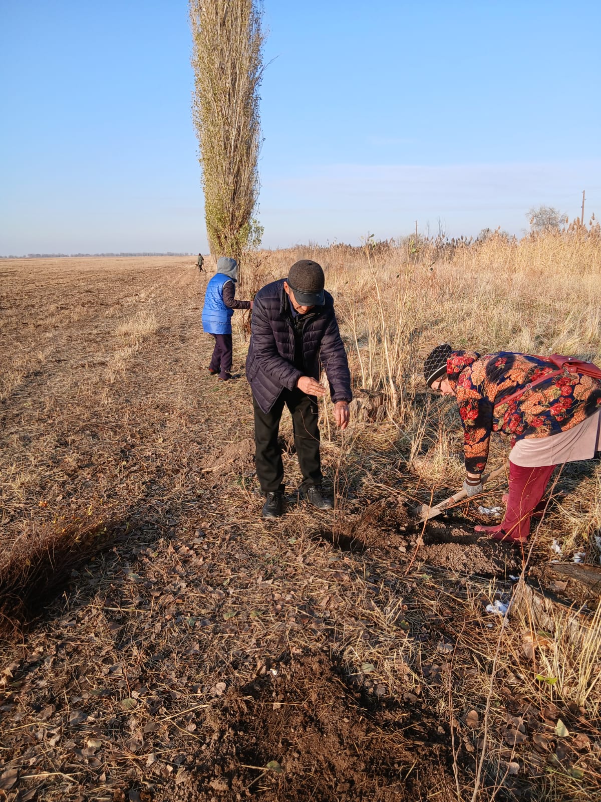 В рамках акции "Таза Казакстан" в селе Актоган ведутся работы по уборке территорий