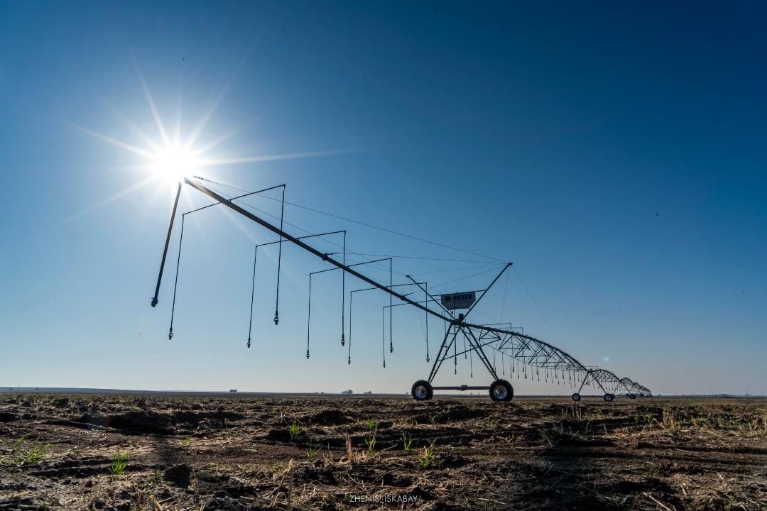 Проект по внедрению системы дождевого орошения реализуется в Жетісу