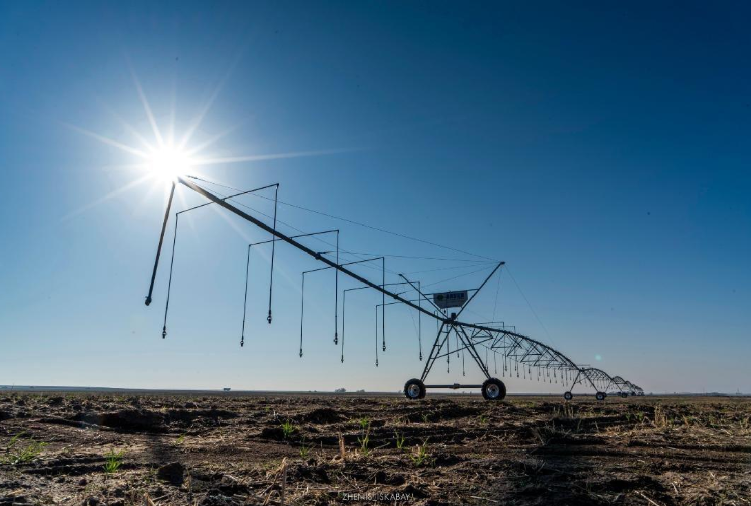Жетісу облысында жаңбырлатып суару жүйесі қолға алынды
