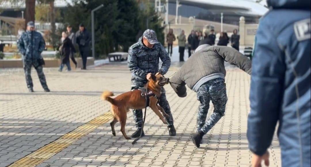 Собака-полицейский покорила студентов в области Жетысу