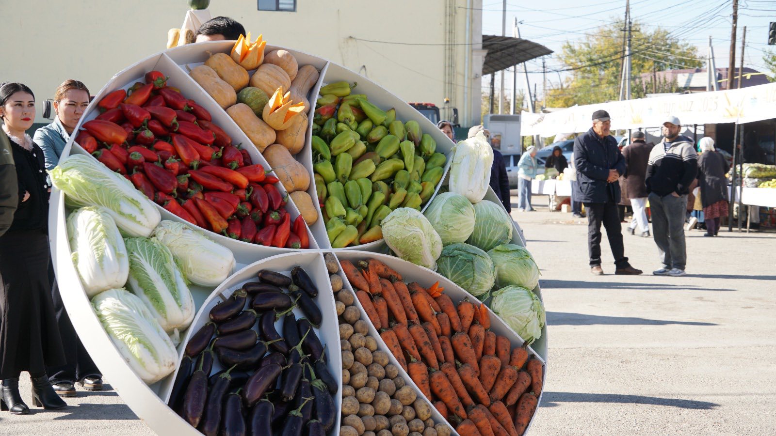 В КЕЛЕСЕ ОПРЕДЕЛЕНЫ ЛУЧШИЕ В СЕЛЬСКОМ ХОЗЯЙСТВЕ