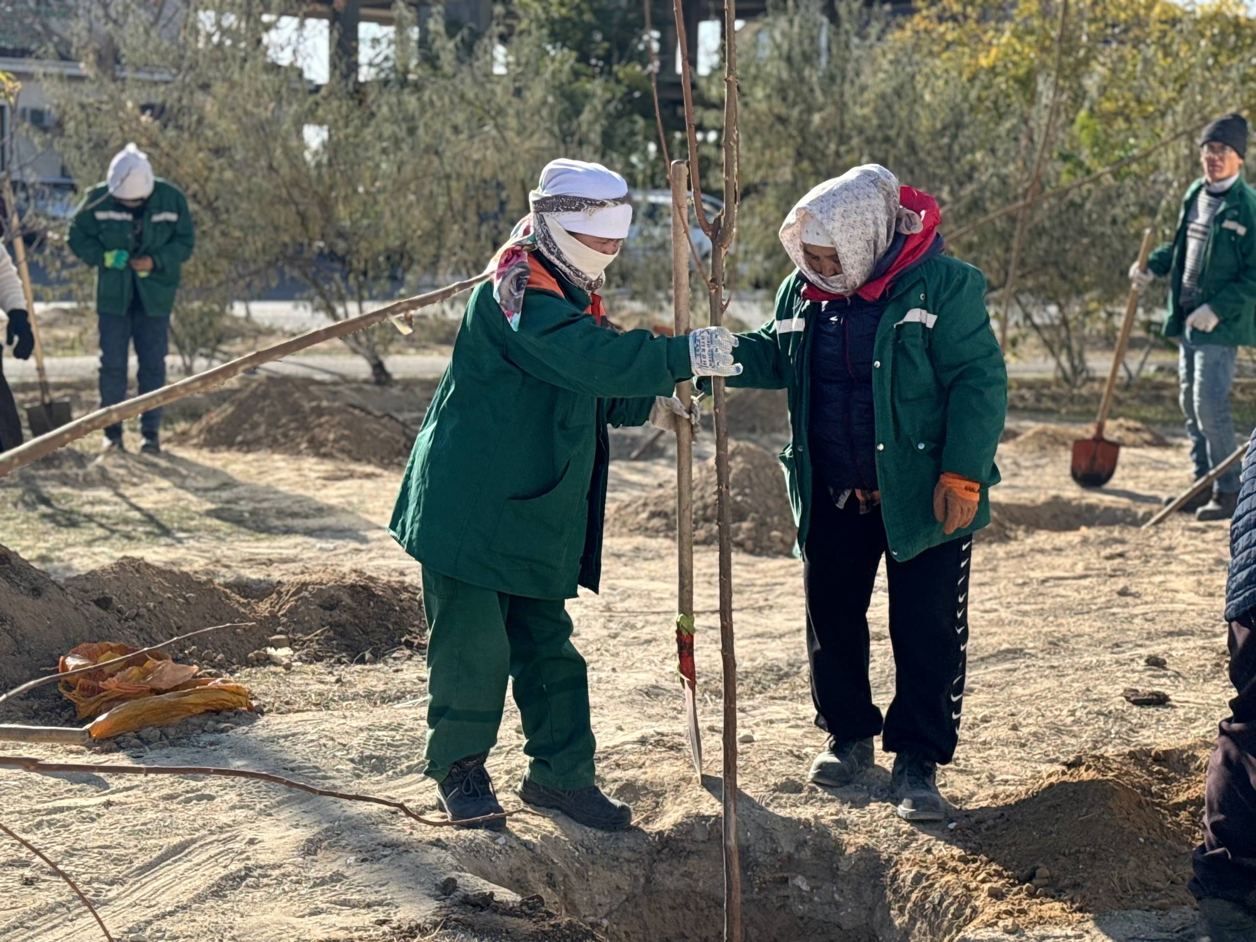 «Сказано — сделано»: в 1 микрорайоне Актау высадили 50 деревьев