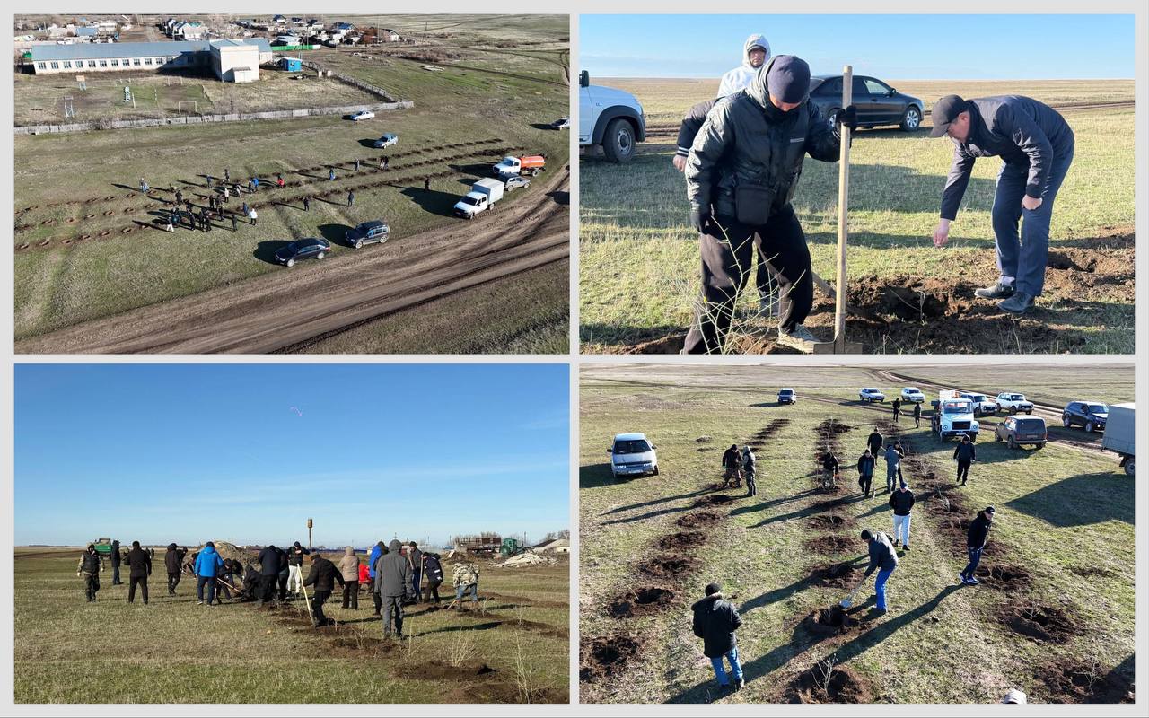 ПОСЕВ ДЕРЕВЬЕВ В СЕЛЕ АМАНГЕЛЬДЫ