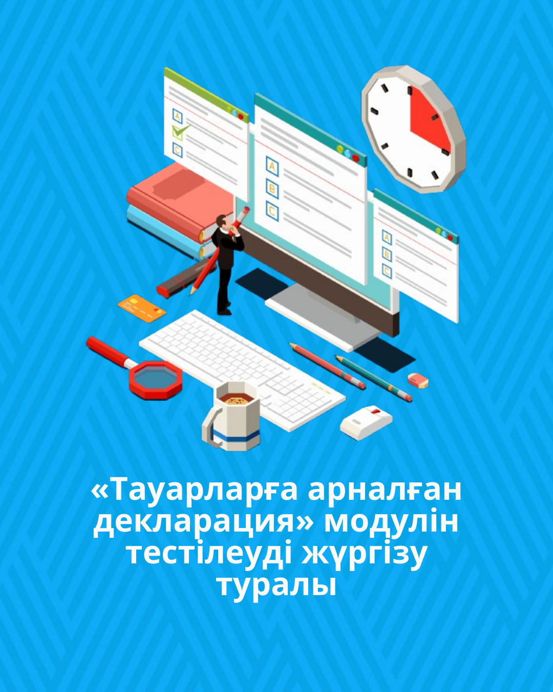 «Тауарларға арналған декларация» модулін тестілеуді жүргізу туралы
