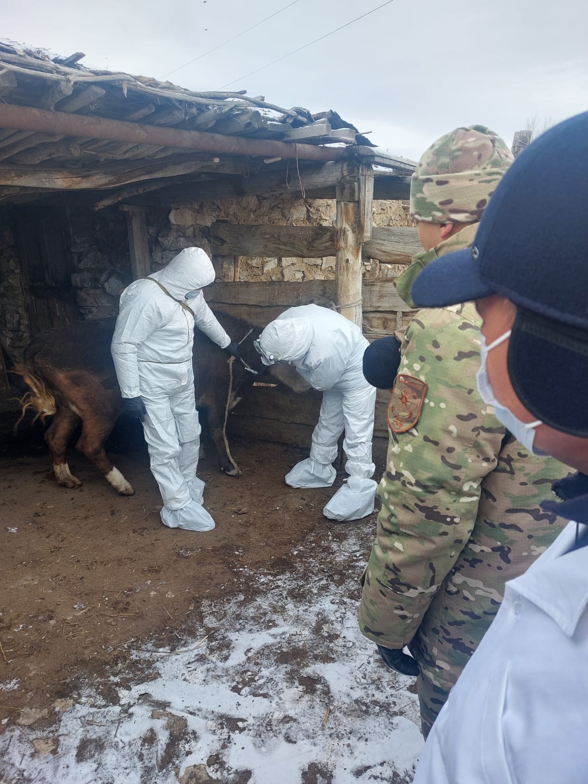 О выполненных мероприятиях за 11 месяцев