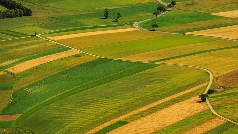 Приняты новые правила выявления земельных участков, используемых не по назначению