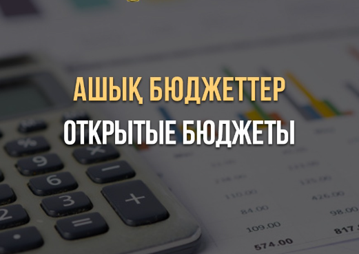 Бюджет бағдарламаларының әкімшісінің төлемдер бойынша қаржыландыру жоспары