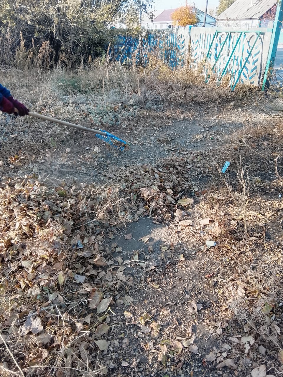 Таза Қазақстан