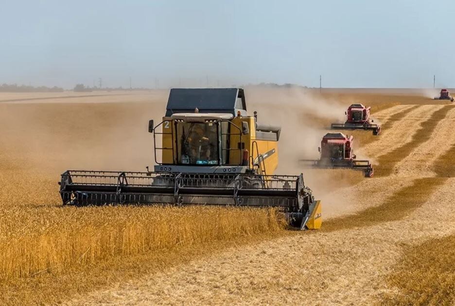 Абай облысында егін жинау науқаны аяқталды