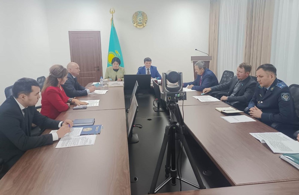 Кезектен тыс 30 сессия