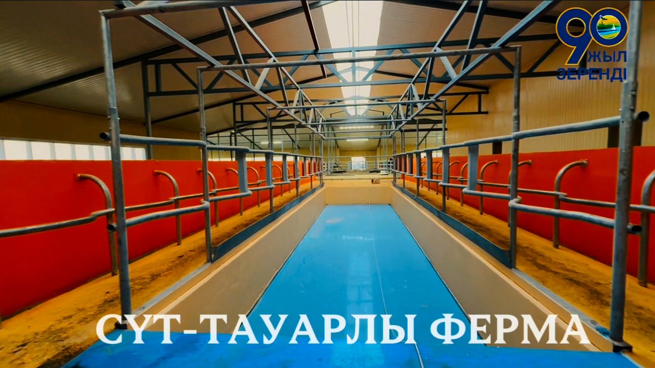 Аким района Асет Курмангожин ознакомился с ходом строительства молочно-товарной фермы в селе Еленовка