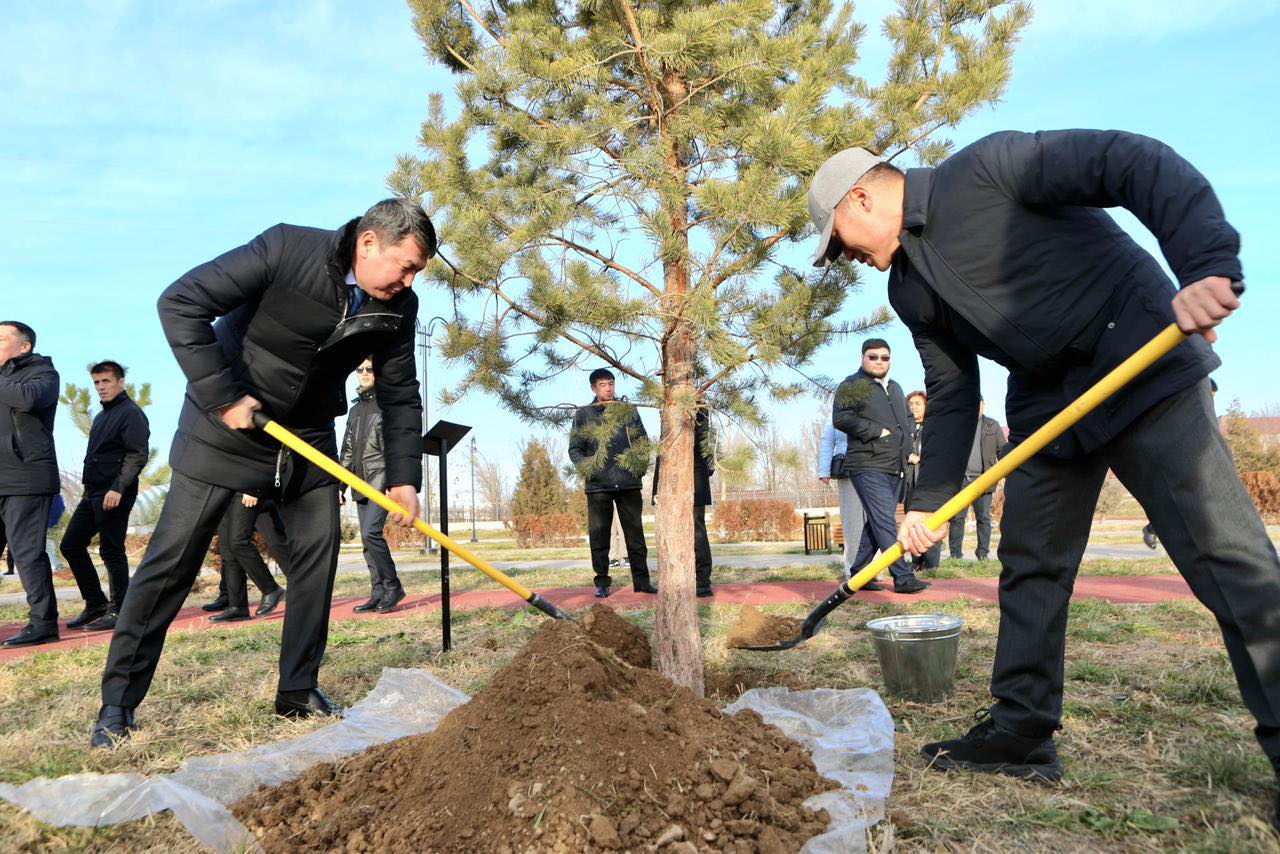ТҮРКІСТАНДА ХАЛЫҚАРАЛЫҚ СЫБАЙЛАС ЖЕМҚОРЛЫҚПЕН КҮРЕС КҮНІНЕ ОРАЙ АҒАШ ОТЫРҒЫЗУ ШАРАСЫ ӨТТІ