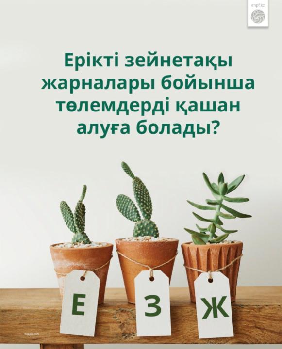Ерікті зейнетақы жарналары бойынша төлемдерді қашан алуға болады?