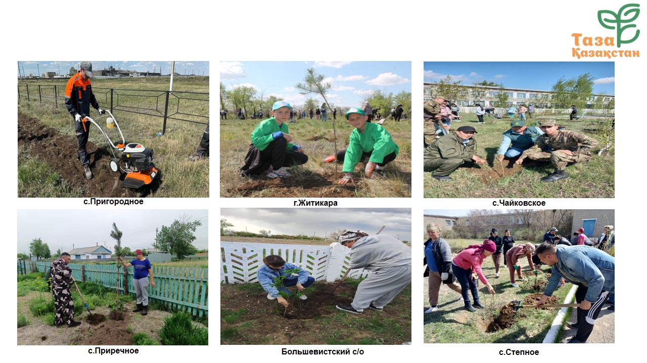 Облыс әкімінің тапсырмасы бойынша Жітіқара ауданының аумағында санитариялық жағдайды жақсарту және көгалдандыру бағытында ауқымды жұмыстар атқарылды.