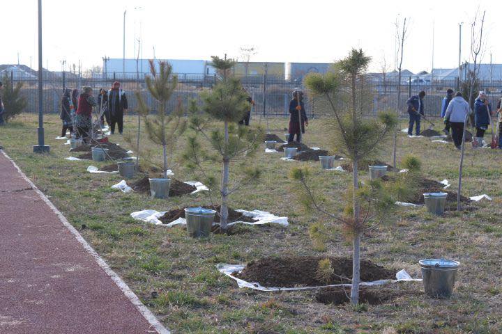 «ТАЗА ҚАЗАҚСТАН»: В ТУРКЕСТАНСКОЙ ОБЛАСТИ В ЭТОМ ГОДУ ВЫСАЖЕНО БОЛЕЕ 1 МЛН САЖЕНЦЕВ И ВЫВЕЗЕНО 17 ТЫСЯЧ ТОНН МУСОРА