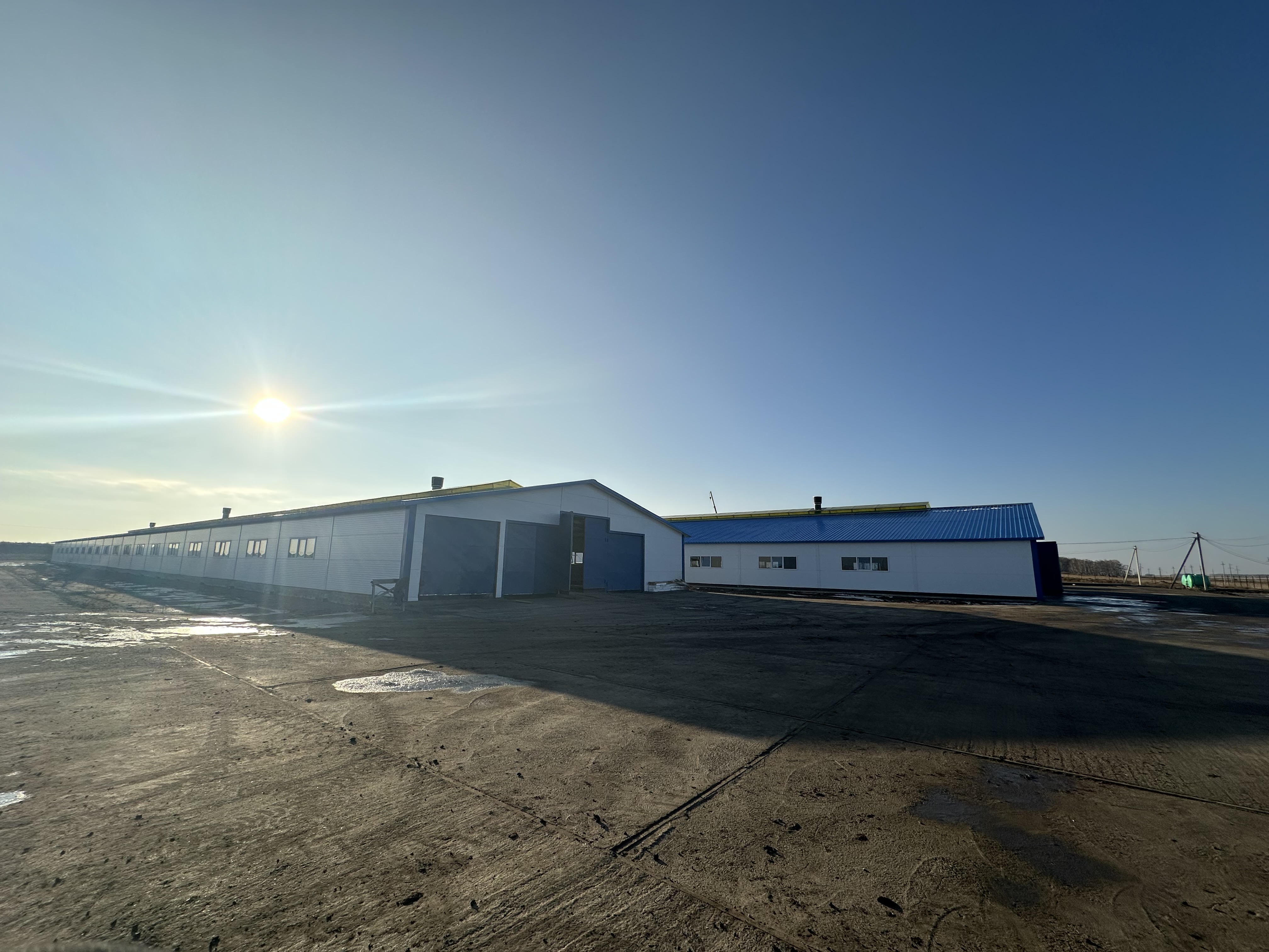 В Жамбылском районе Северо-Казахстанской области состоялся запуск новой молочно-товарной фермы ТОО «Агротехника-Жамбыл»