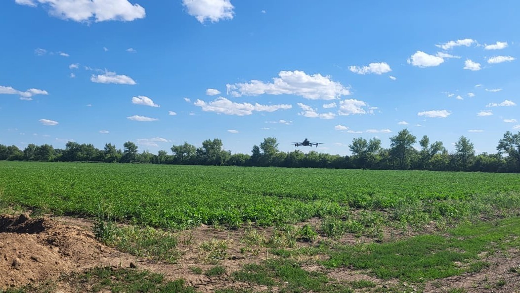 AgroSky: Қарағандыда дрондар мен жасанды интеллект фермерлердің шығындарын қысқартып, өнімділікті арттыруға көмектесуде